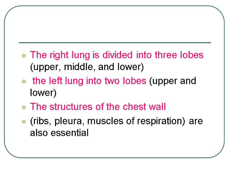 The right lung is divided into three lobes (upper, middle, and lower)  